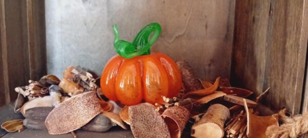 Citrouille orange – Image 3